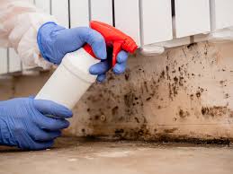 Best Mold Remediation for Vacation Homes  in Perryman, MD